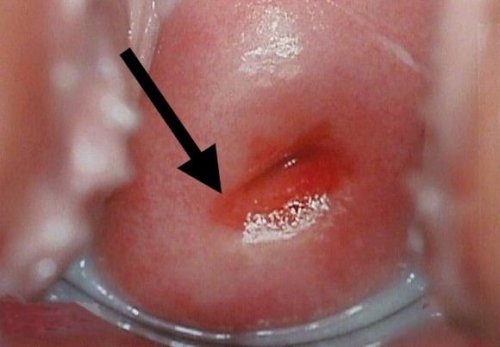 ����� ����� �����