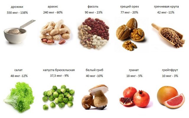 фолиева кислота в продуктах