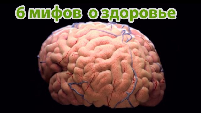 ���� � ��������