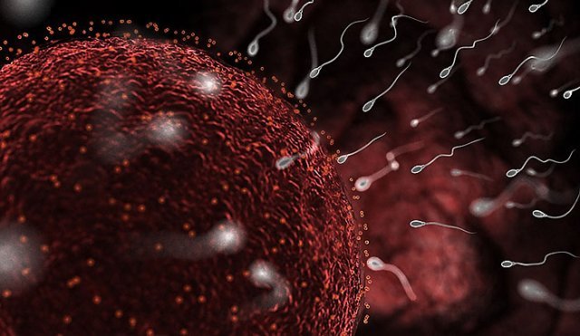 9 �������� ������ �������