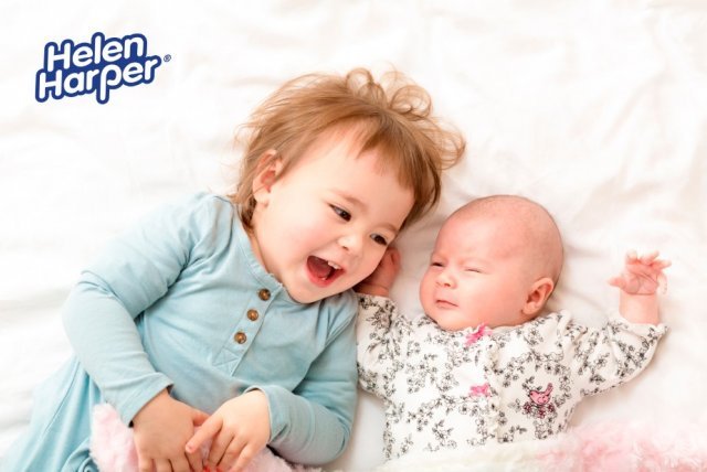 ������ ����