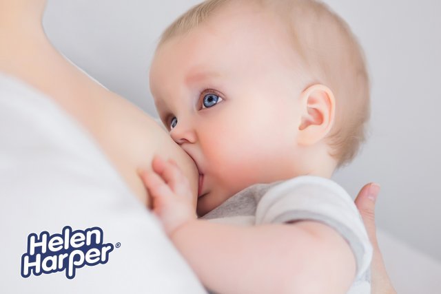 ������� ���� ���� �� ������