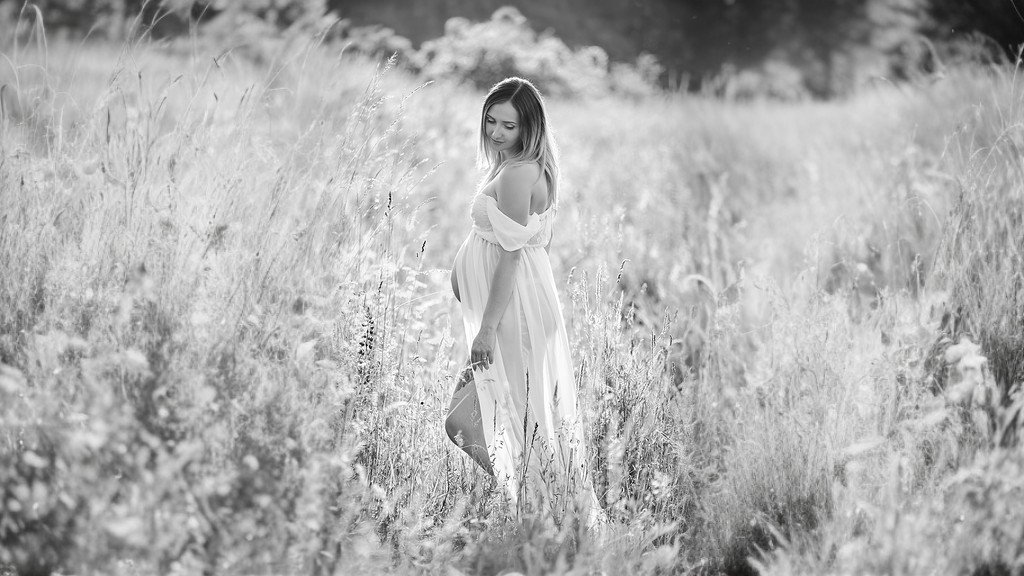 ������������ �����